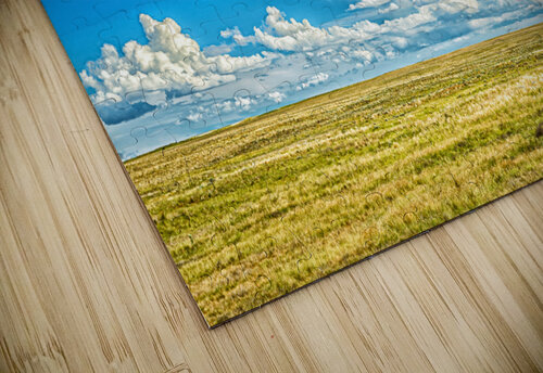 The Great Plains Gestalt Imagery puzzle