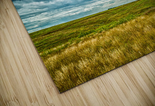 The Great Plains Gestalt Imagery puzzle