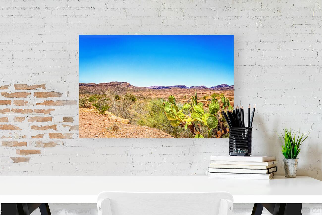 Apache Trail Scenic Drive View Reproduction