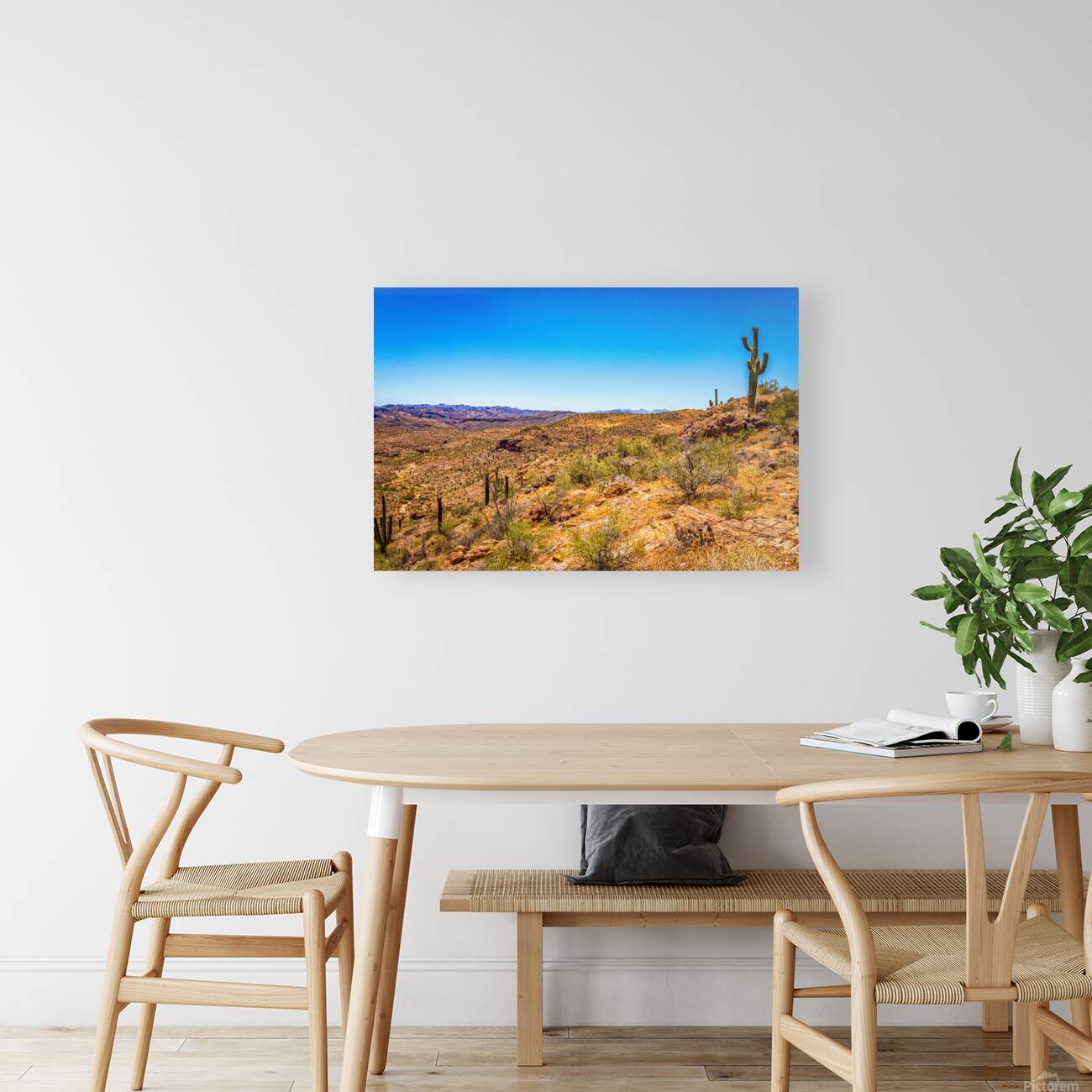 Apache Trail Scenic Drive View Reproduction