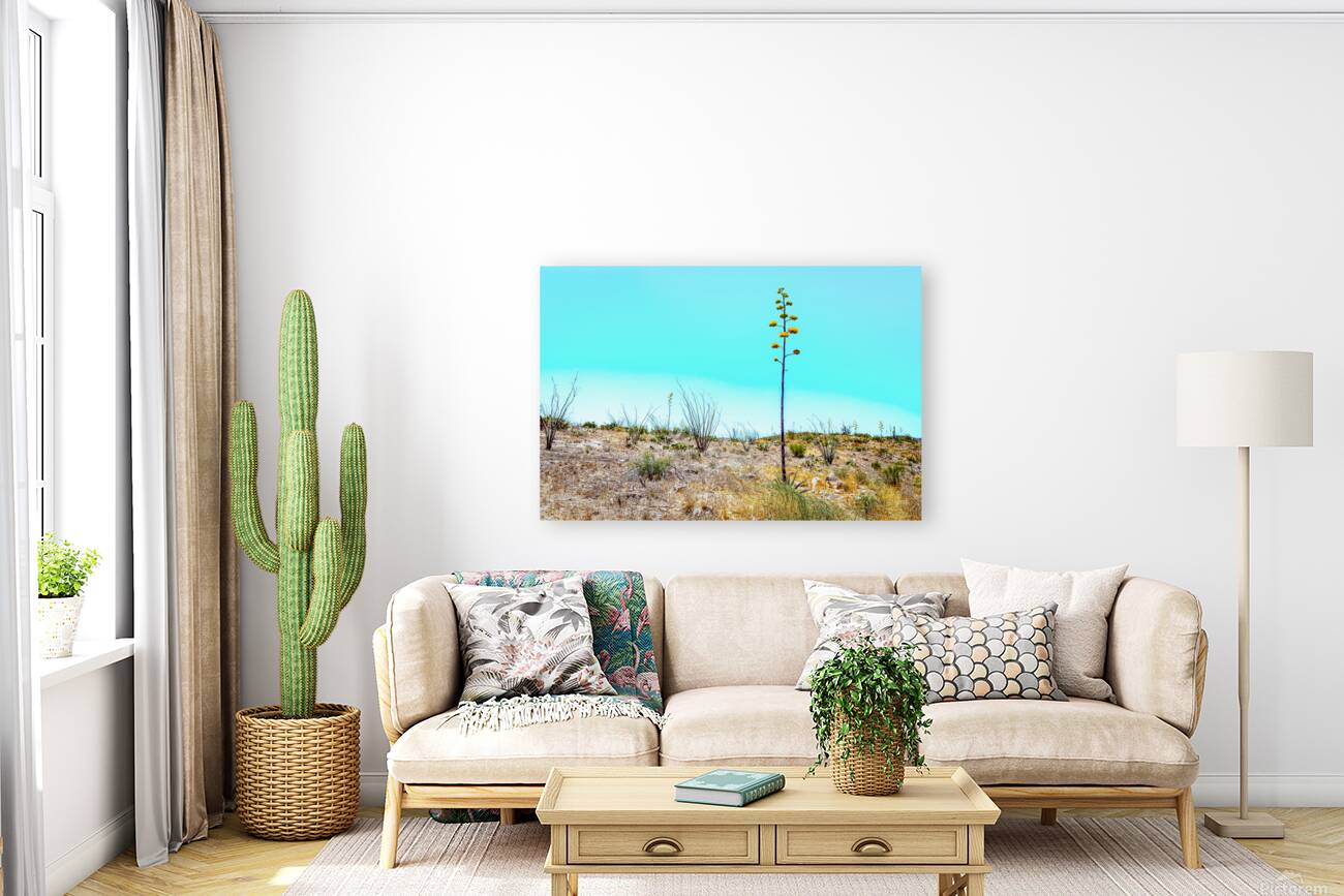 Apache Trail Scenic Drive View Reproduction