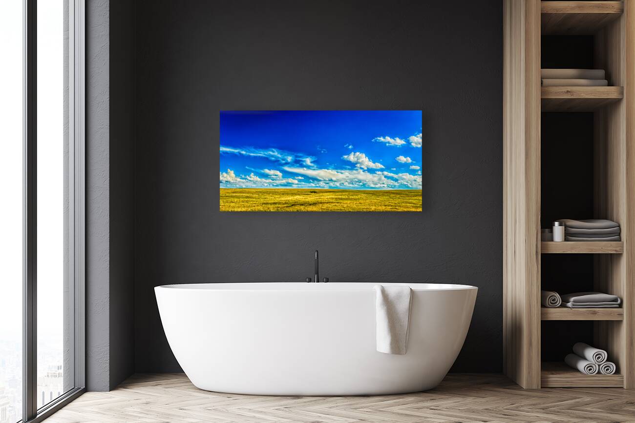 The Great Plains Reproduction