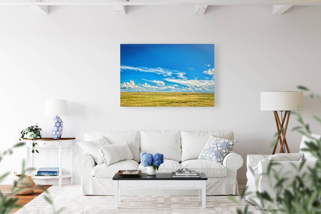The Great Plains Reproduction