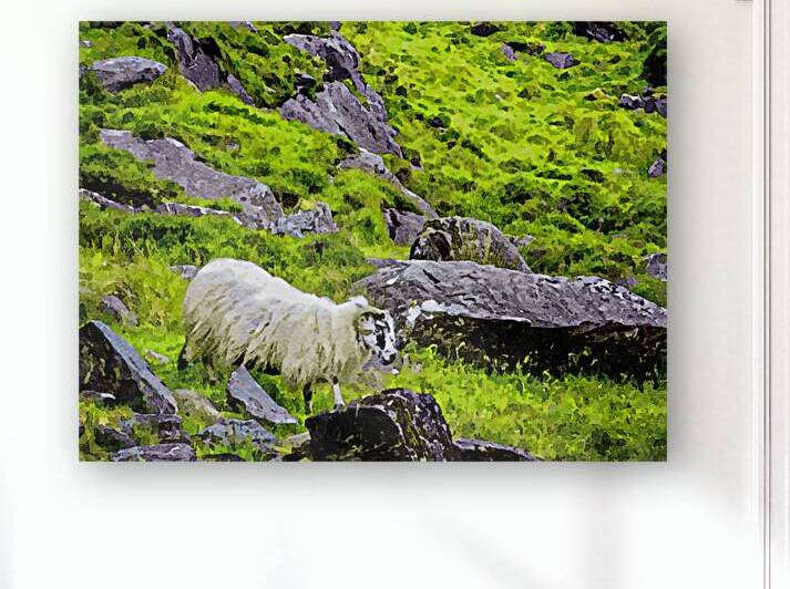Watercolor landscape of a sheep on rocky hills in Dingle Ireland by Gestalt Imagery