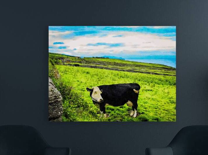 Watercolor depiction of a cow on Dunquins lush green fields Ireland by Gestalt Imagery