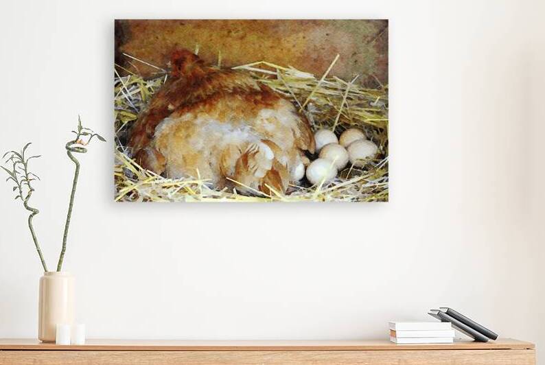 Watercolor painting of a hen nesting with eggs in a straw bed by Gestalt Imagery