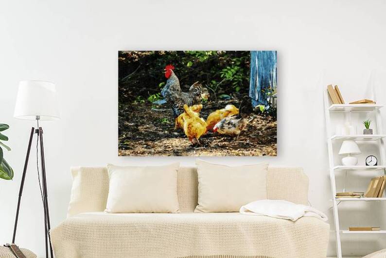 Watercolor depiction of chickens and rooster in natural setting by Gestalt Imagery