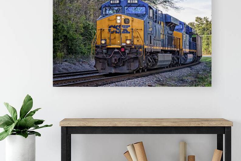 CSX Train in South Carolina by Gestalt Imagery