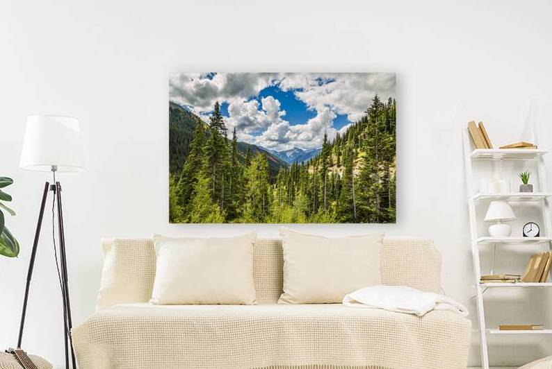 Scenic view of the forested mountains and clouds in Red Mountain by Gestalt Imagery