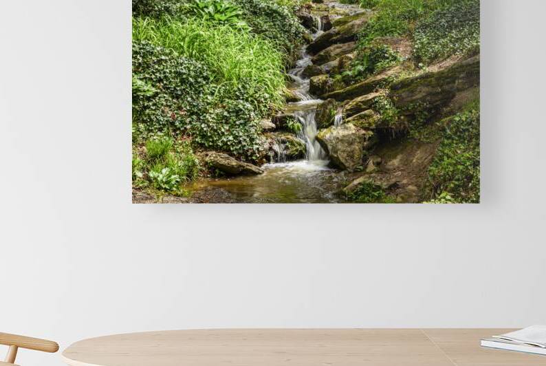 Serene forest stream flowing over mossy rocks surrounded by lush by Gestalt Imagery