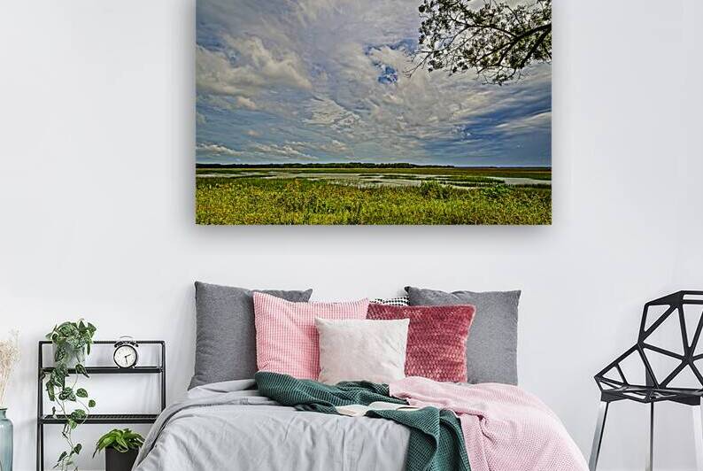 Picturesque marshland landscape under a vibrant sky with scatter by Gestalt Imagery