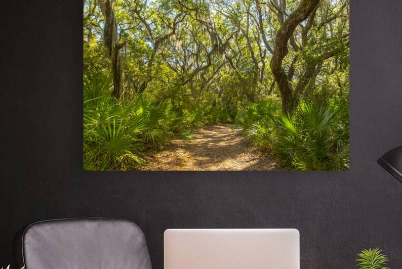 Tree Lined Pathway in Cumberland Island National Seashore with W by Gestalt Imagery