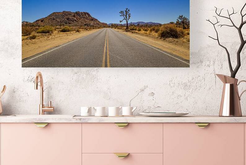 Park Boulevard Joshua Tree National Park by Gestalt Imagery