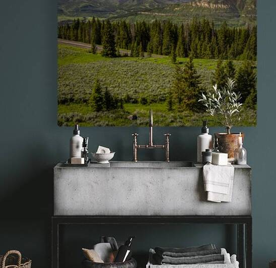 Scenic view of Beartooth Mountains with lush greenery and a clea by Gestalt Imagery
