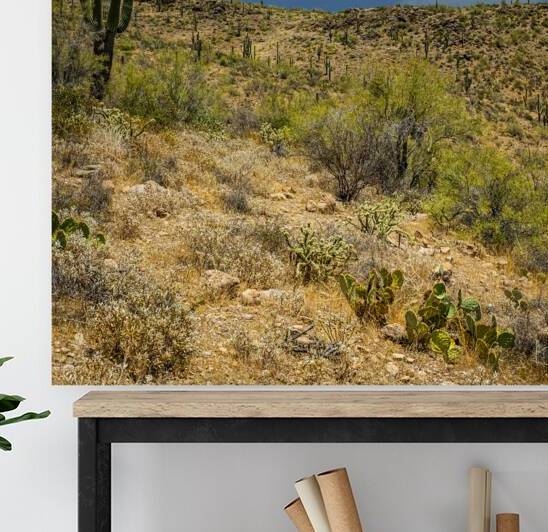 Arizona Sonoran Desert Landscape with Saguaro and Prickly Pear C by Gestalt Imagery