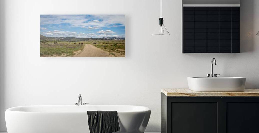 Wyoming Cattle Herd by Gestalt Imagery