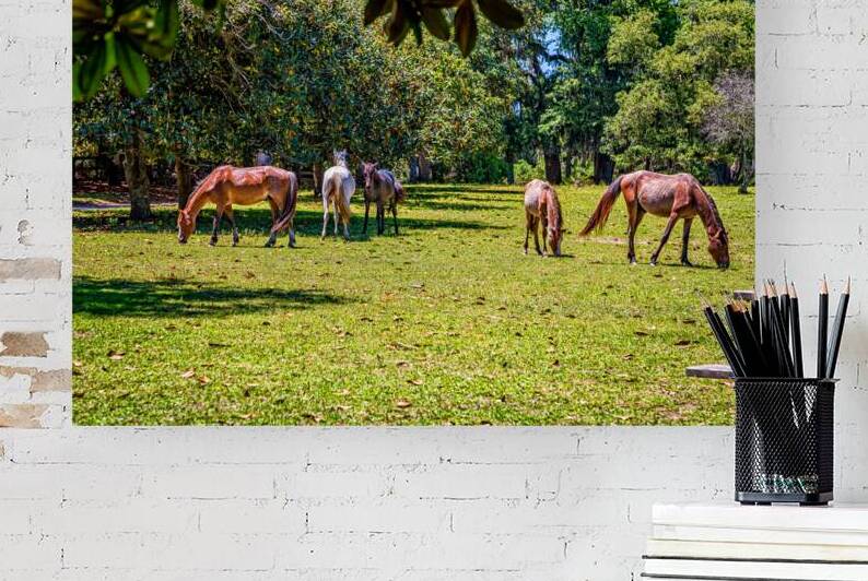 Wild Horses at Cumberland Island National Seashore Georgia USA by Gestalt Imagery