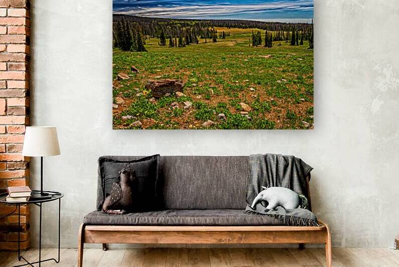  MG 0577 Edit Cedar Breaks National Monument by Gestalt Imagery
