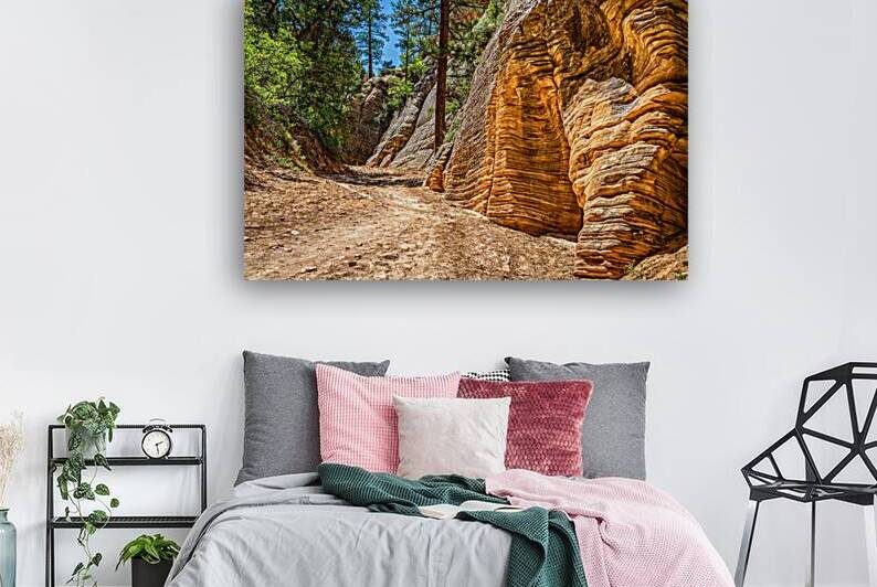  MG 0859 Edit Lick Wash Trail Hike by Gestalt Imagery
