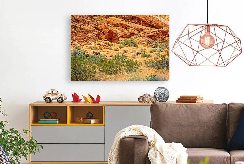  MG 2493 Edit Desert Bighorn Sheep Valley of by Gestalt Imagery