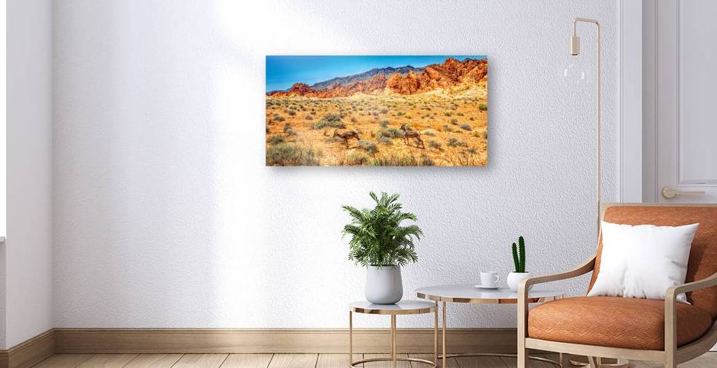  MG 2513 Edit Desert Bighorn Sheep Valley of by Gestalt Imagery