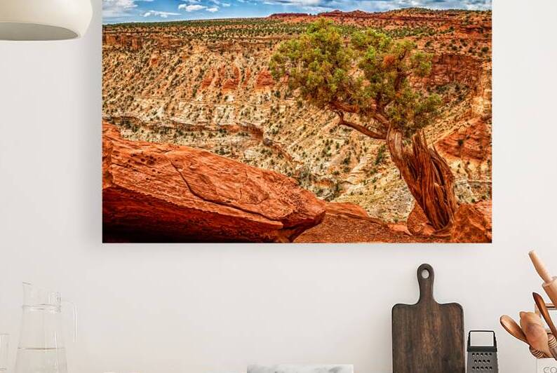  MG 2729 Edit Capitol Reef National Park by Gestalt Imagery
