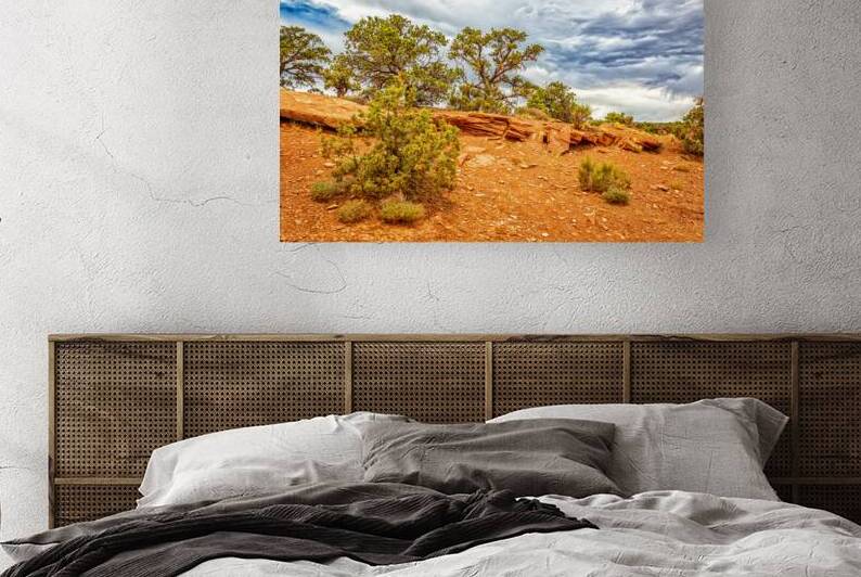  MG 2667 Edit Dwarf Forest Capitol Reef Natio by Gestalt Imagery