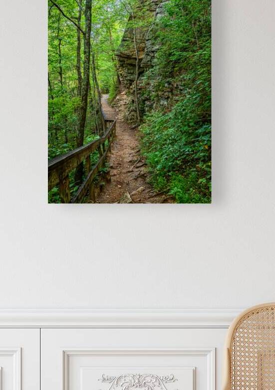  MG 3663 Edit Cloudland Canyon State Park by Gestalt Imagery