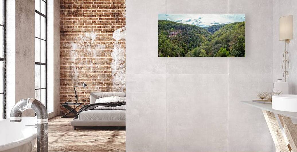  MG 3631 Pano Edit Cloudland Canyon State Par by Gestalt Imagery