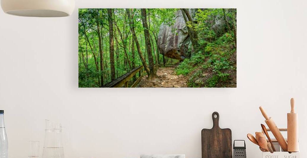  MG 3672 Pano Edit Cloudland Canyon State Par by Gestalt Imagery