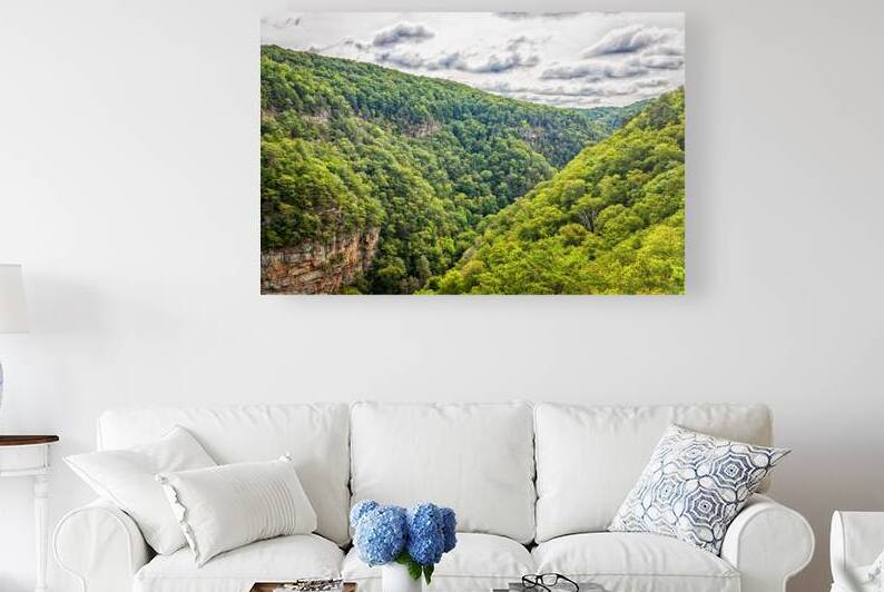  MG 3603 Edit Cloudland Canyon State Park by Gestalt Imagery