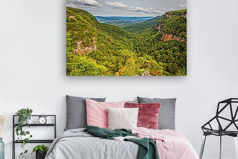  MG 3585 Edit Cloudland Canyon State Park by Gestalt Imagery