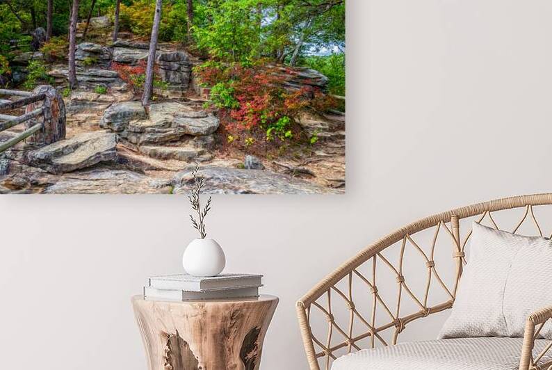  MG 3605 Edit Cloudland Canyon State Park by Gestalt Imagery