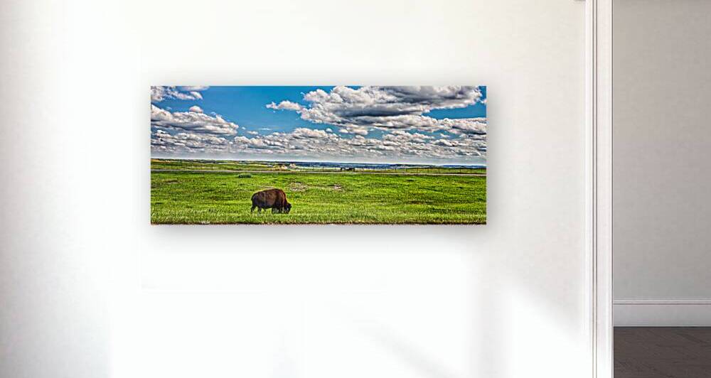  MG 4406 Edit American Bison Grazing Billings by Gestalt Imagery