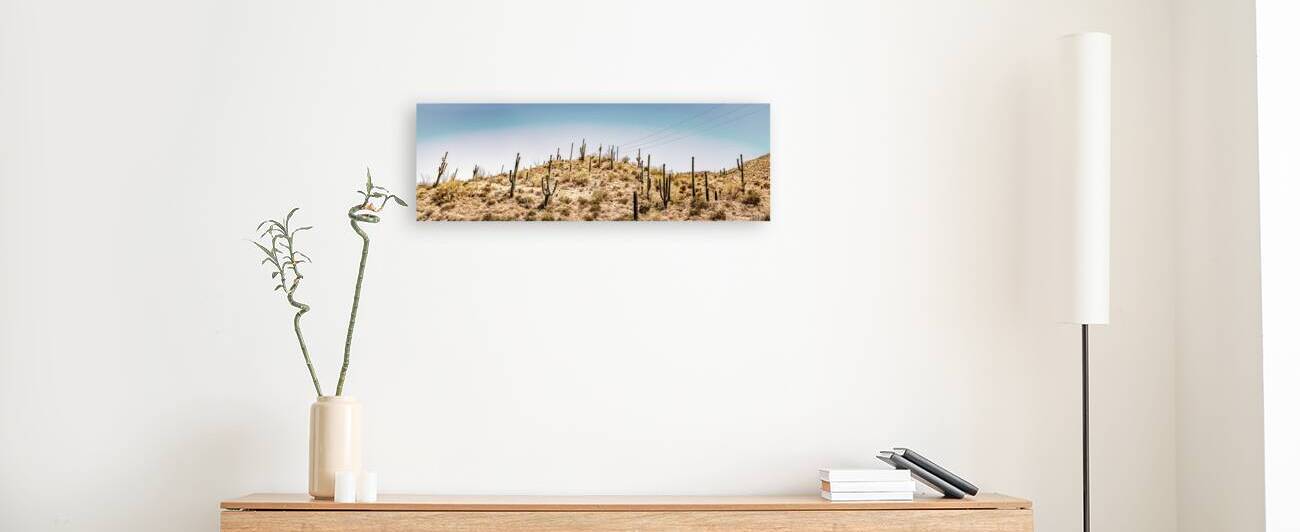 Apache Trail Scenic Drive View Arizona by Gestalt Imagery