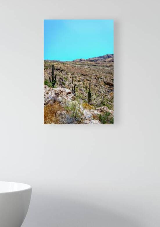  MG 8466 Edit Apache Trail Scenic Drive View by Gestalt Imagery