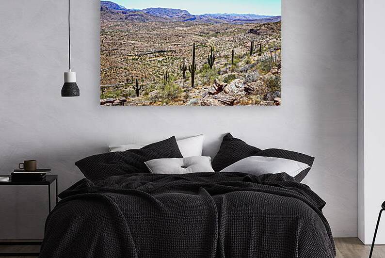  MG 8461 Edit Apache Trail Scenic Drive View by Gestalt Imagery