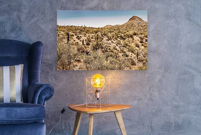 Apache Trail Scenic Drive View Arizona State Route 88 by Gestalt Imagery