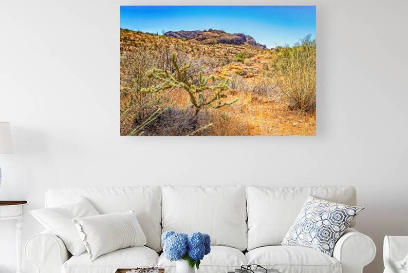 Apache Trail Scenic Drive View Arizona State Route 88 by Gestalt Imagery