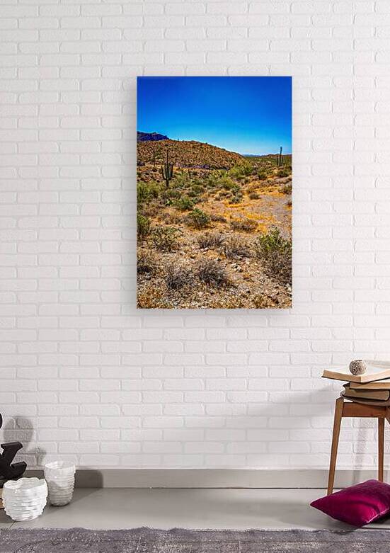 Apache Trail Scenic Drive View Arizona State Route 88 by Gestalt Imagery