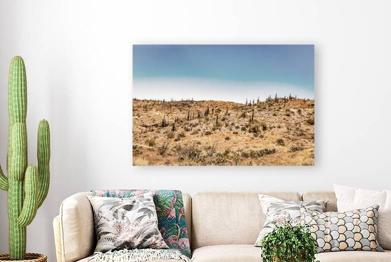 MG 8431 Edit 2 Apache Trail Scenic Drive Vie by Gestalt Imagery