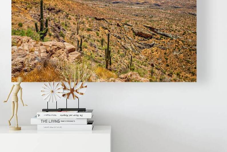Apache Trail Scenic Drive View Along Route 88 in Arizona by Gestalt Imagery