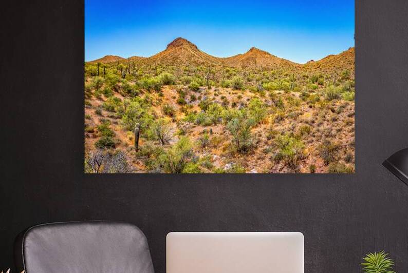  MG 8002 Edit Apache Trail Scenic Drive View by Gestalt Imagery