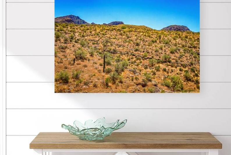 Apache Trail Scenic Drive View by Gestalt Imagery