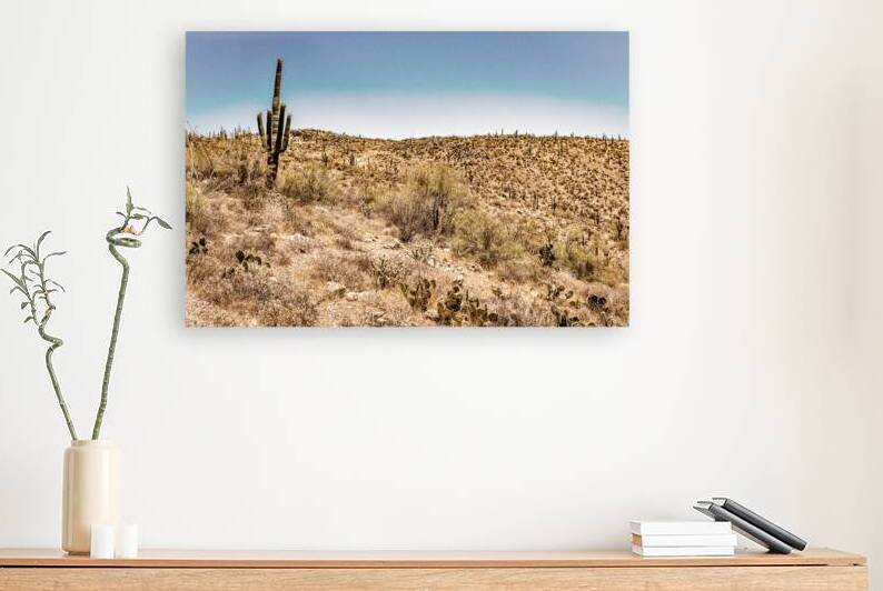 Apache Trail Scenic Drive View along Route 88 in Arizona by Gestalt Imagery
