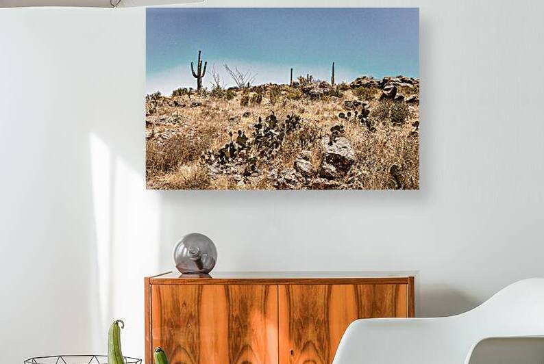 MG 8392 Edit Apache Trail Scenic Drive View by Gestalt Imagery