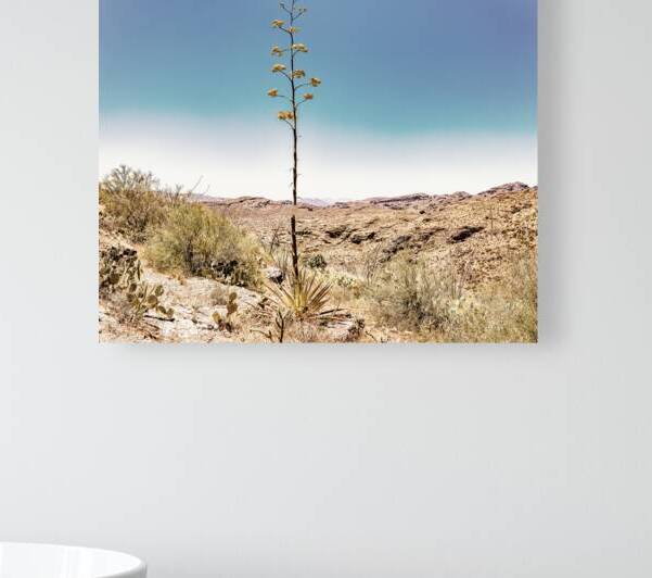  MG 8326 Pano Edit Apache Trail Scenic Drive by Gestalt Imagery