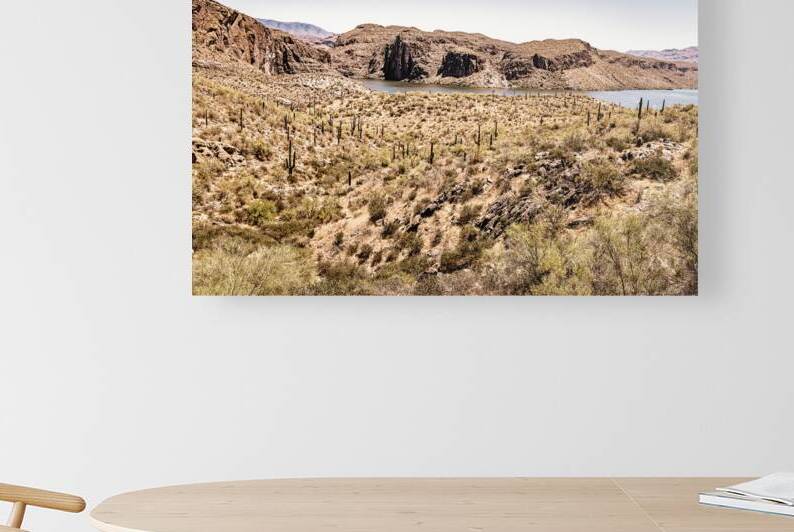  MG 8141 Edit 2 Apache Trail Scenic Drive Vie by Gestalt Imagery