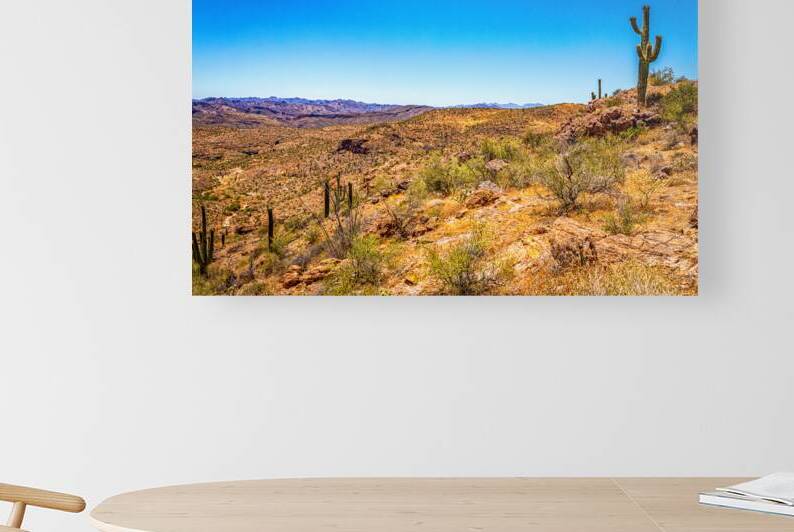 Apache Trail Scenic Drive View by Gestalt Imagery