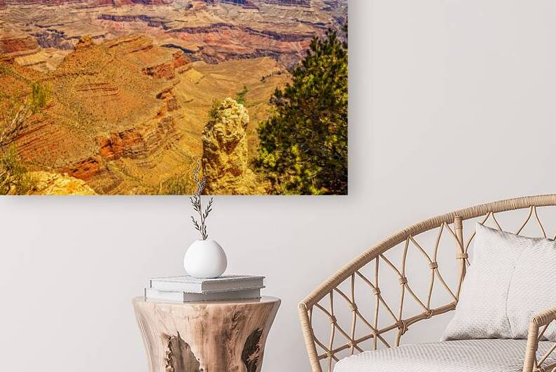  MG 8909 Edit Rim Trail Viewpoint Grand Canyo by Gestalt Imagery